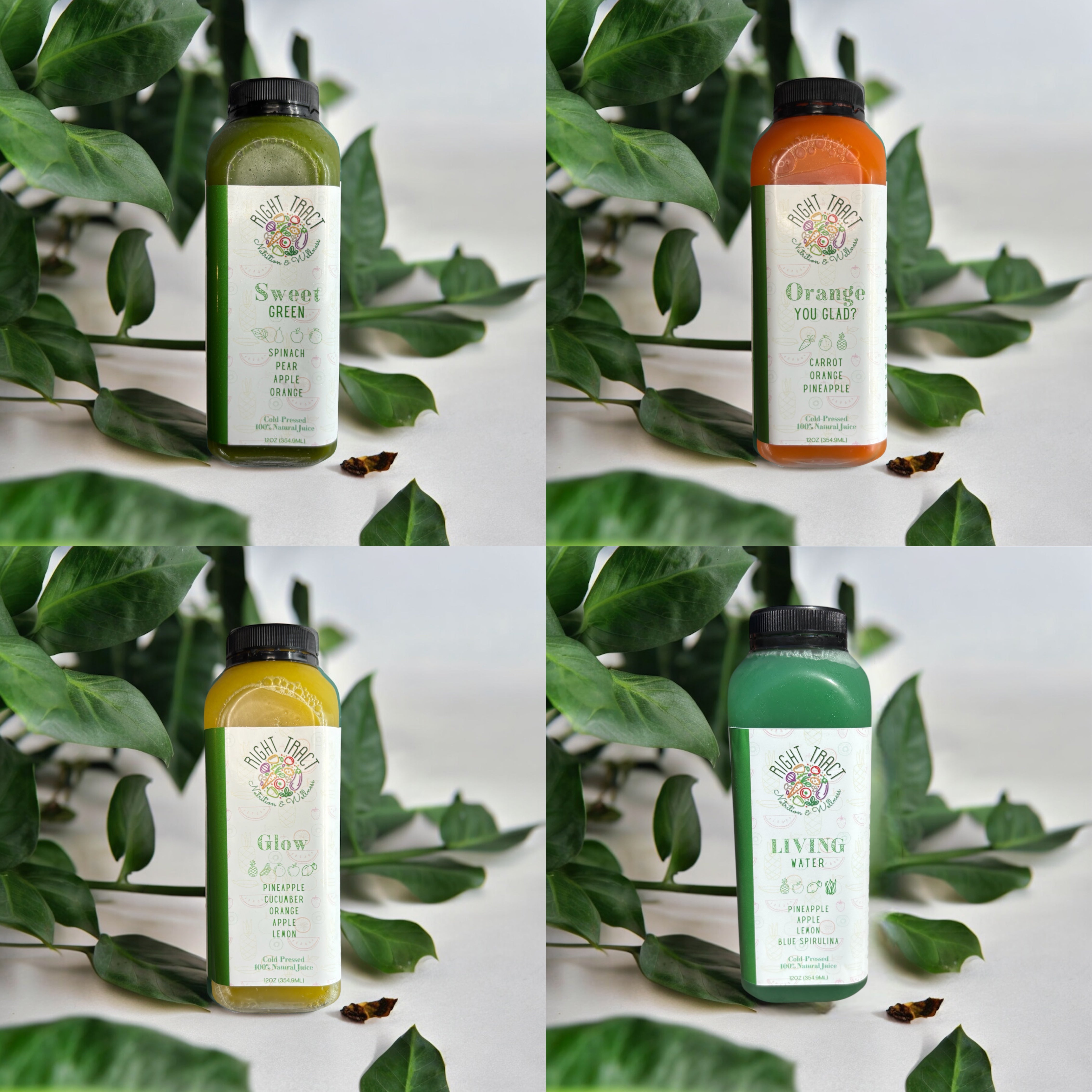 1 Day Juice Cleanse Pack