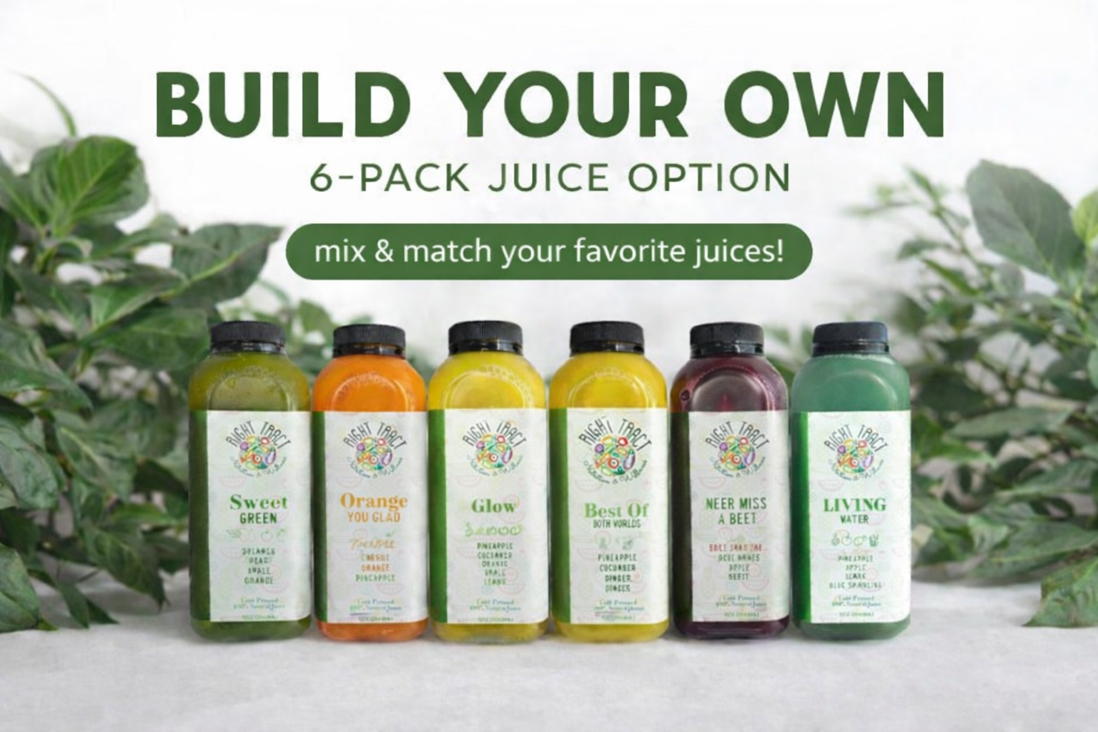 Build Your Own 6-Pack